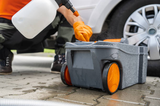 Best Tree Disease Treatment  in Tangerine, FL